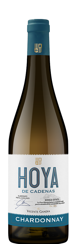 hoya de cadenas chardonnay botella sin fondo
